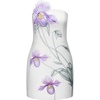 White Slipper Orchid