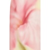 image:imageJW PEI Womens Watercolor Floral Print Strapless Maxi DressYellow